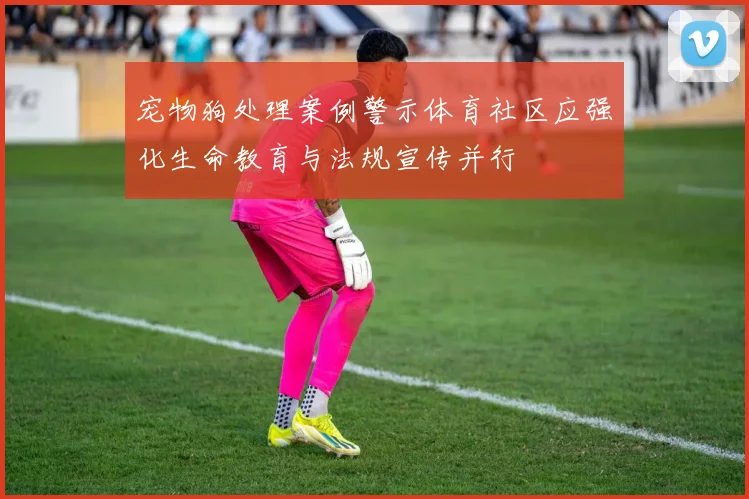 宠物狗处理案例警示体育社区应强化生命教育与法规宣传并行