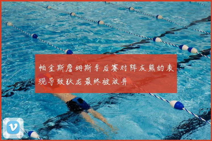 帕金斯詹姆斯季后赛对阵灰熊的表现导致狄龙最终被放弃