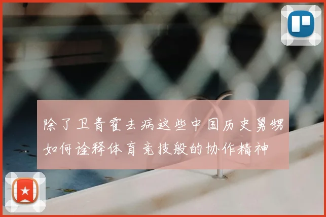 除了卫青霍去病这些中国历史舅甥如何诠释体育竞技般的协作精神