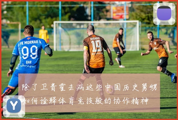 除了卫青霍去病这些中国历史舅甥如何诠释体育竞技般的协作精神